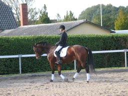 LF HSC - 0634_web